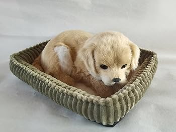 Amazon.co.jp: PawFection Pets ゴールデンレトリバー 犬 リアル